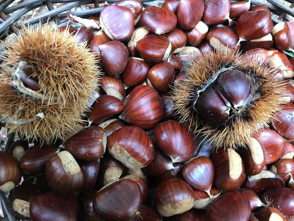 CREMA DI CASTAGNE