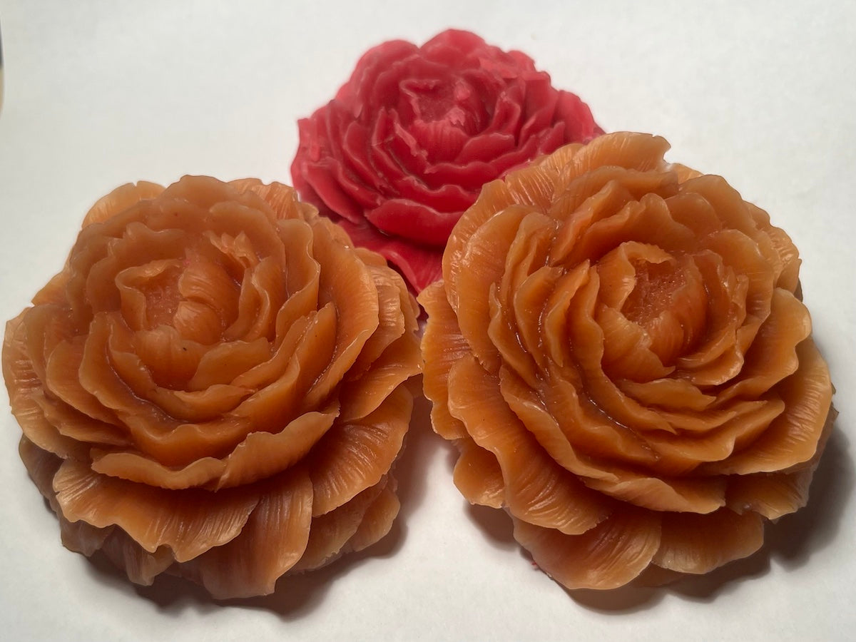 CERA D'API - Tart Peonia