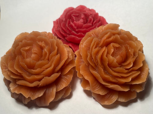 CERA D'API - Tart Peonia