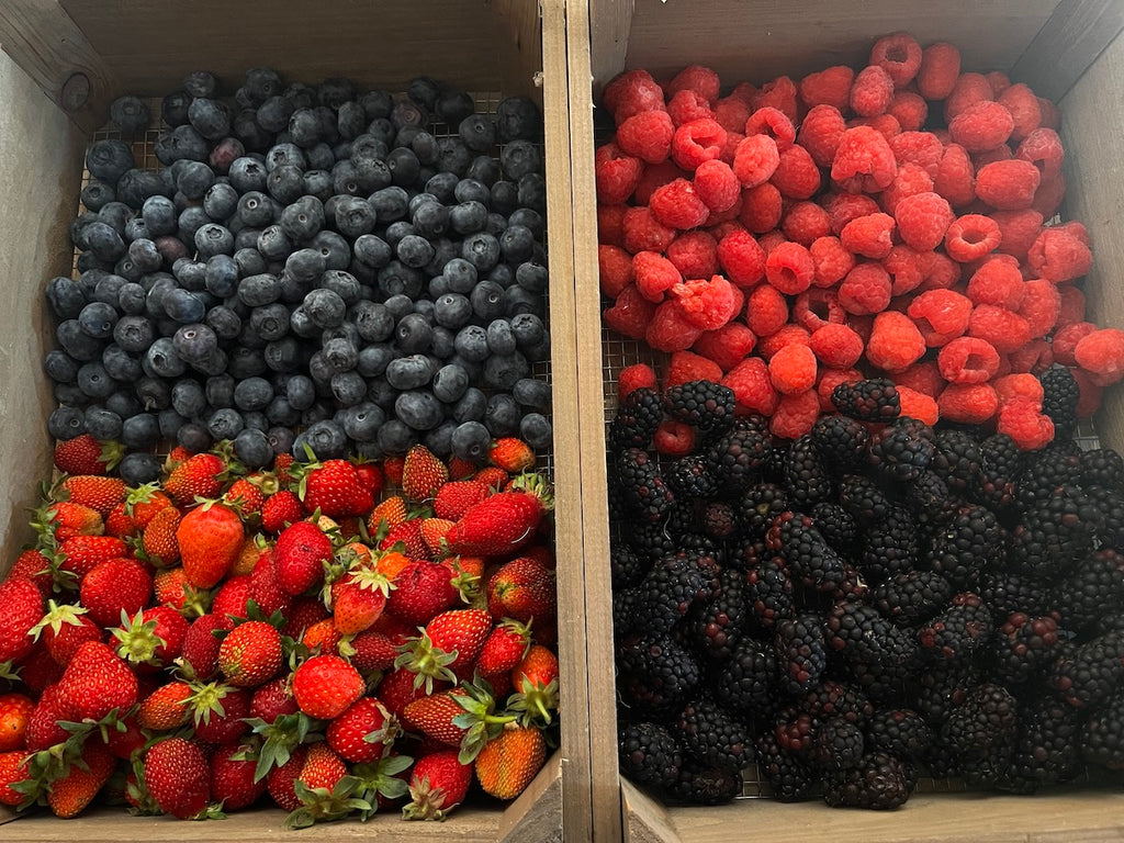 COMPOSTA DI FRUTTI DI BOSCO