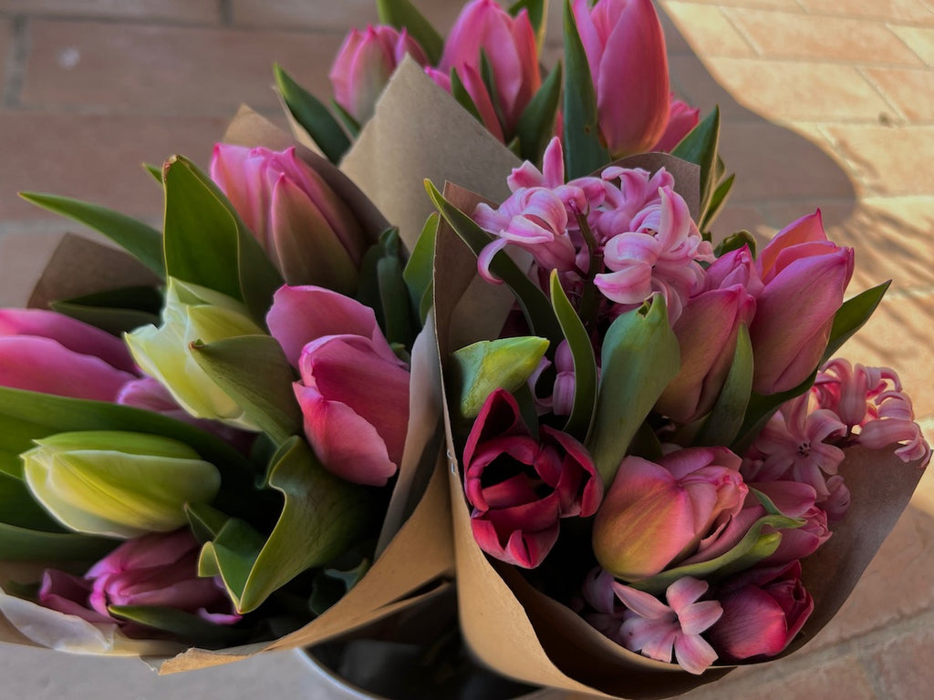 TULIPANI FRESCHI