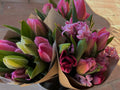 TULIPANI FRESCHI