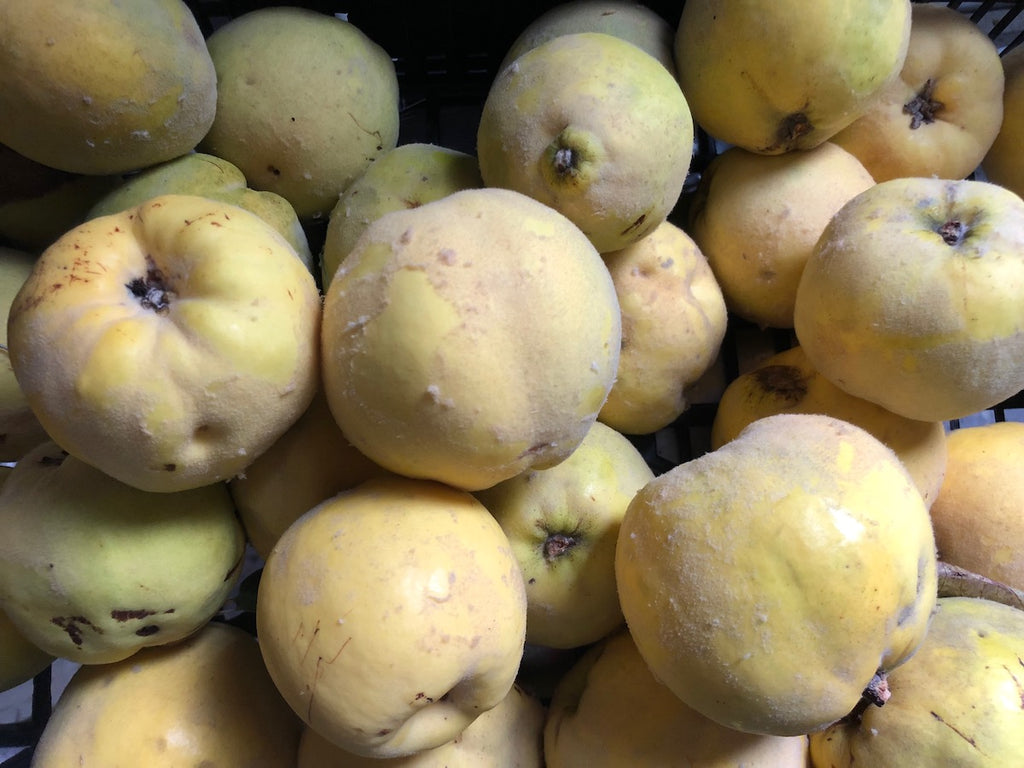 COMPOSTA DI MELE COTOGNE