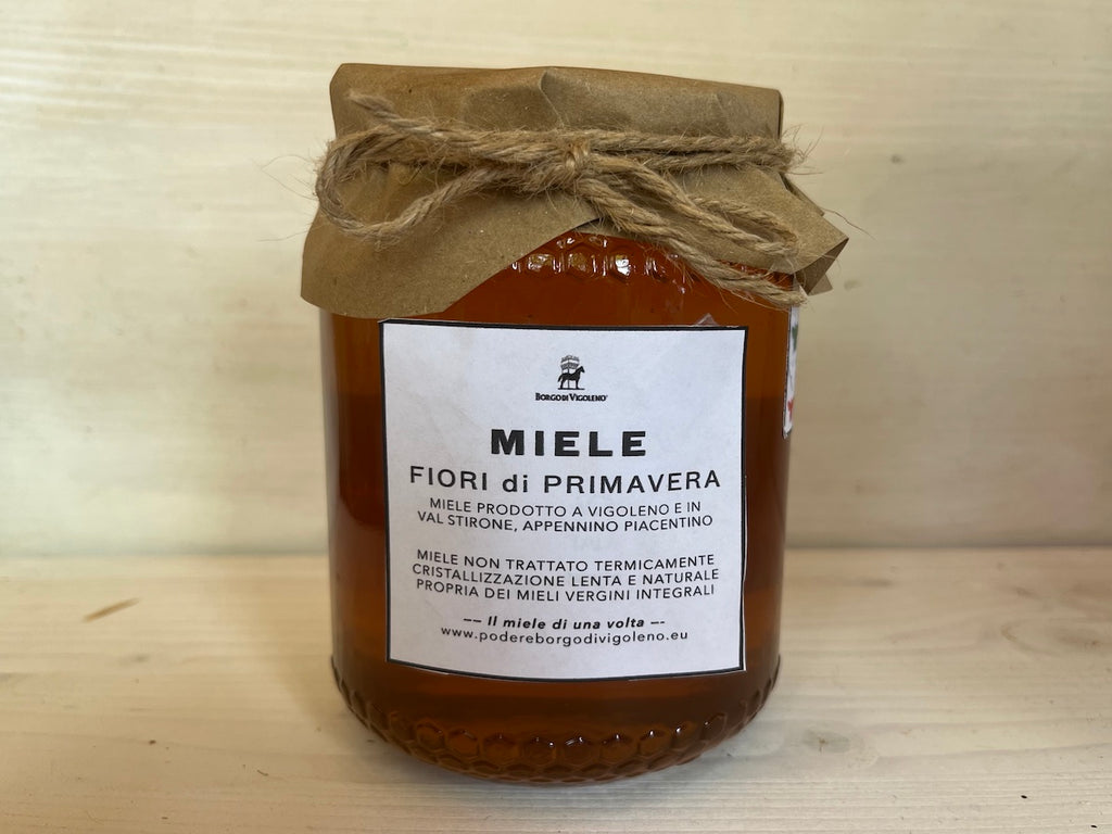 MIELE FIORI DI PRIMAVERA