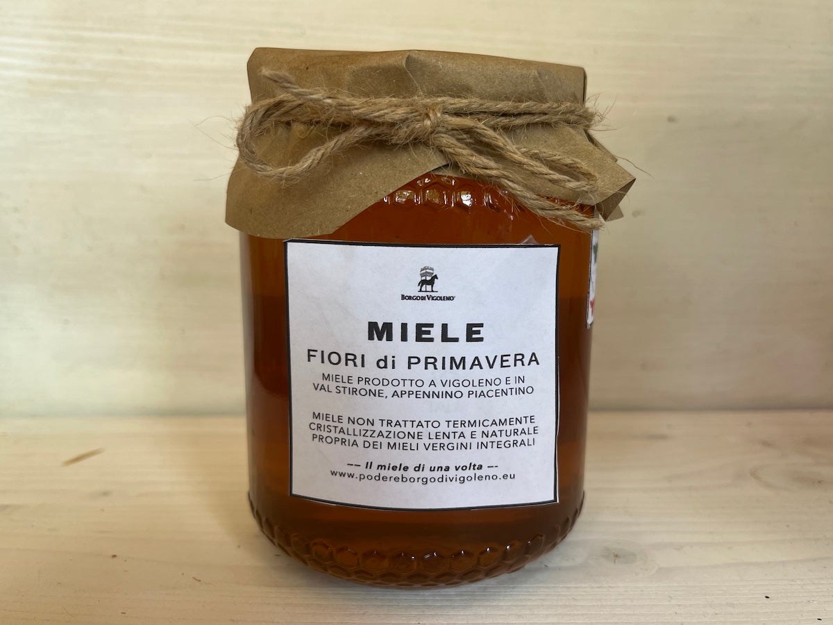 MIELE FIORI DI PRIMAVERA