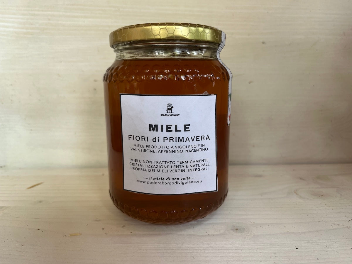 MIELE FIORI DI PRIMAVERA