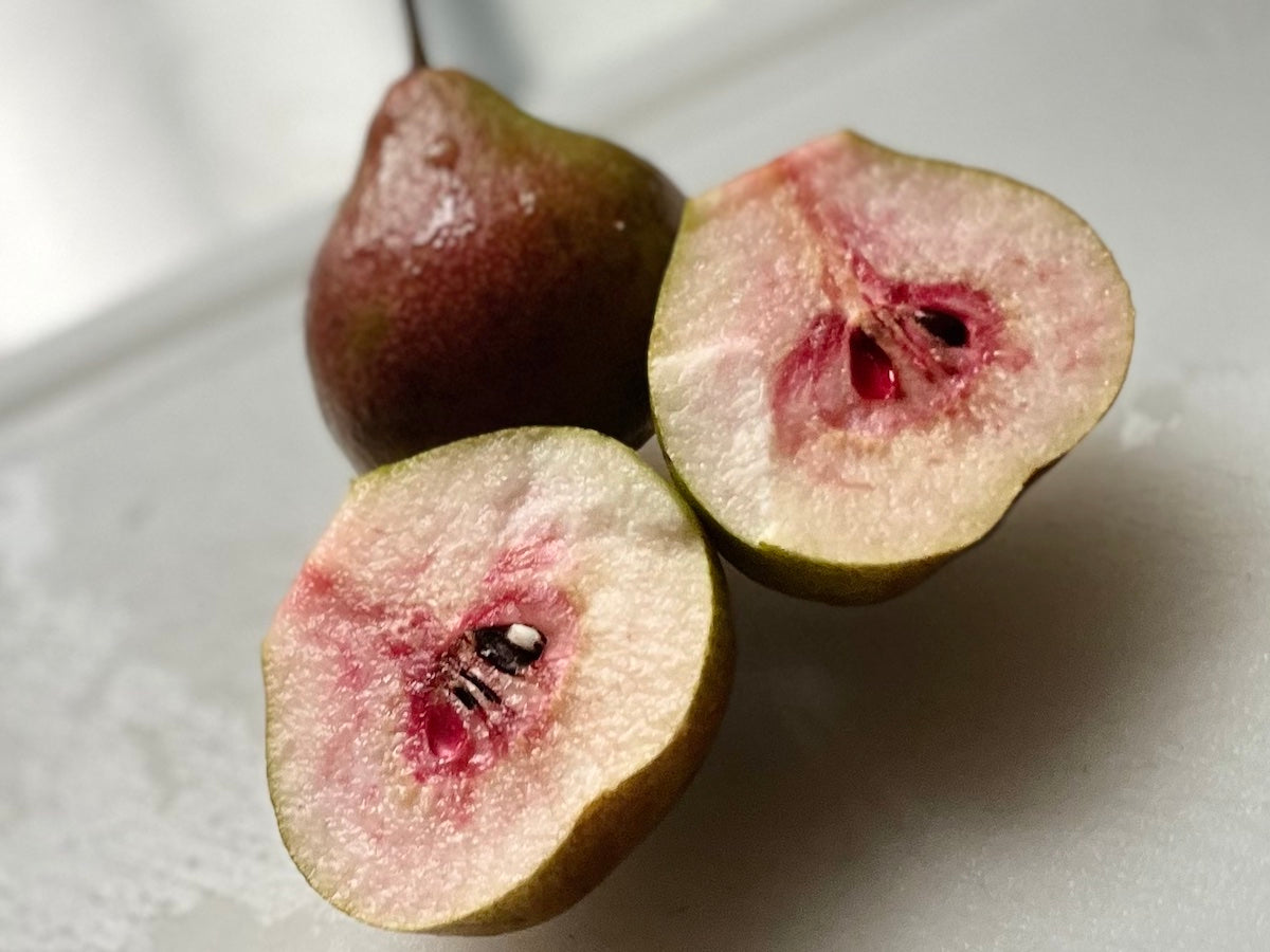 COMPOSTA DI PERA COCOMERINA