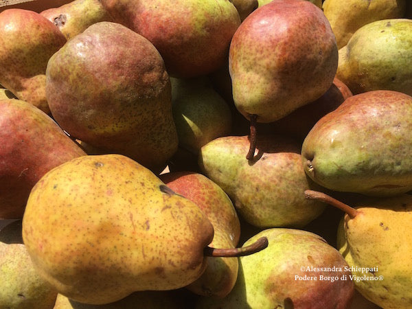 COMPOSTA PERE & LAVANDA