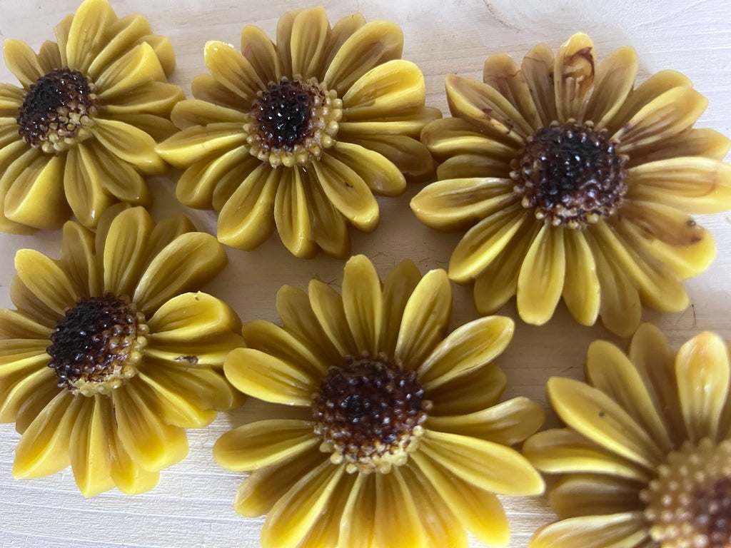 CERA D'API - Tart Petali al Sole