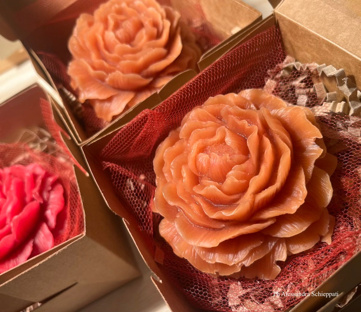 CERA D'API - Tart Peonia