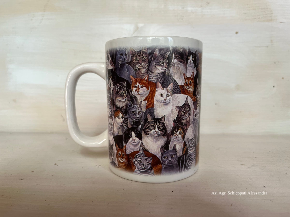 TAZZE & MUG
