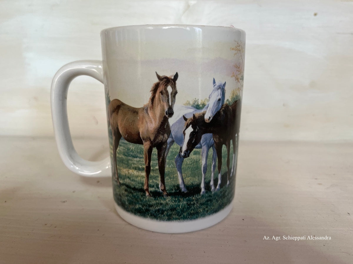 TAZZE & MUG