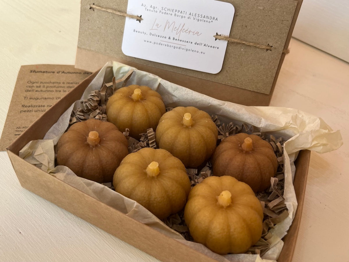 CERA D'API - Wax Melts Zucche Sfumature d'autunno
