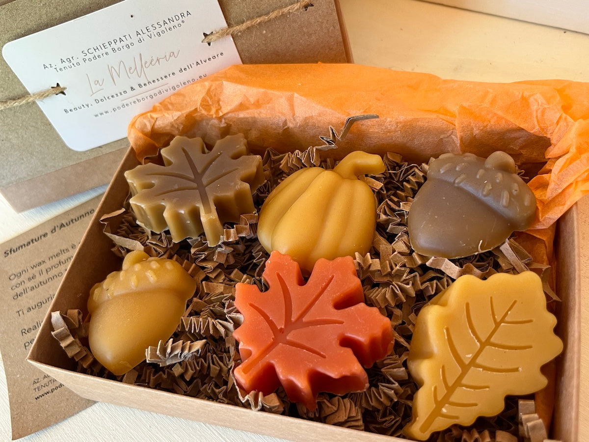 CERA D'API - Wax Melts Zucche Sfumature d'autunno
