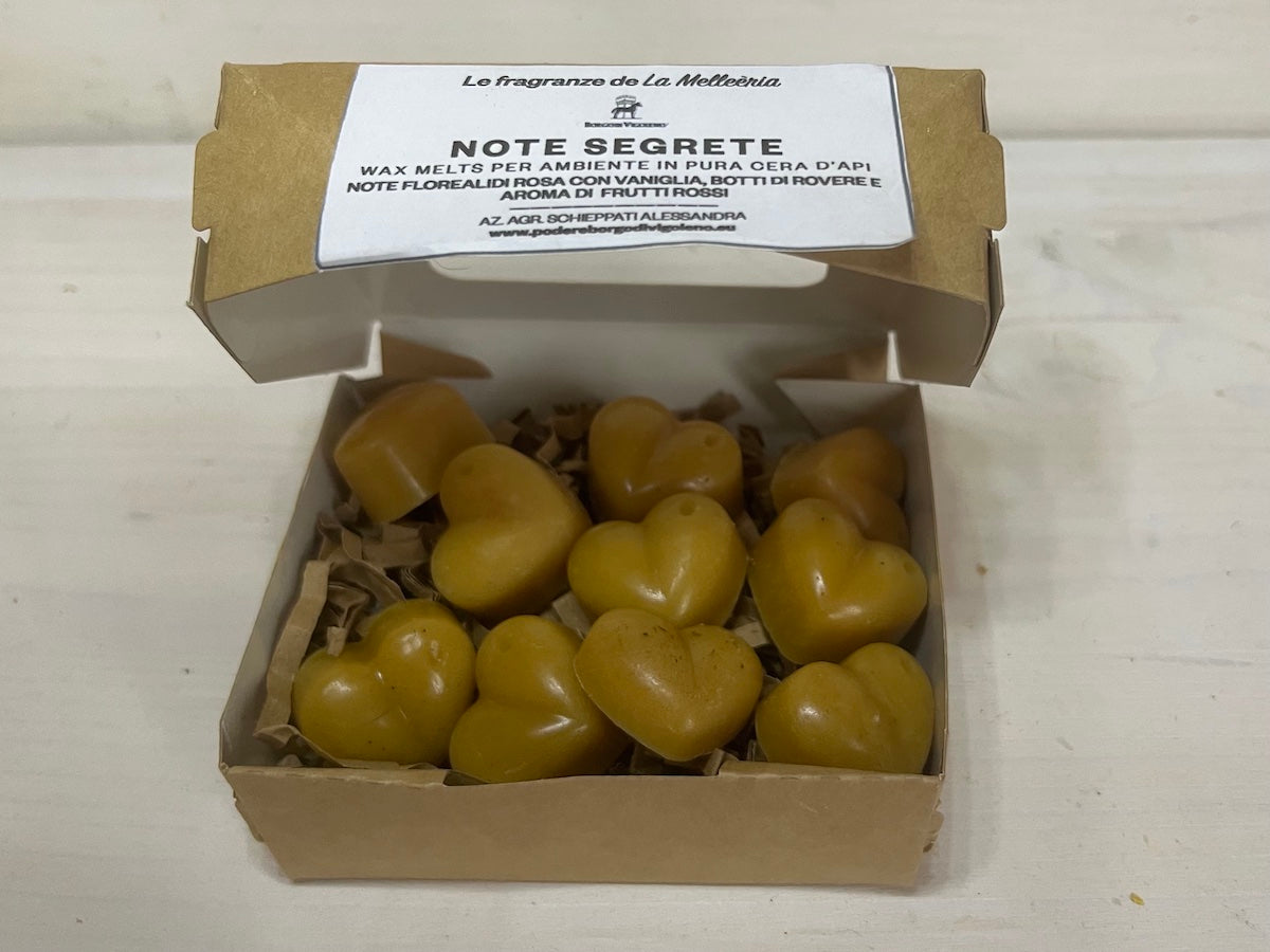 CERA D'API - Wax Melts Note Segrete