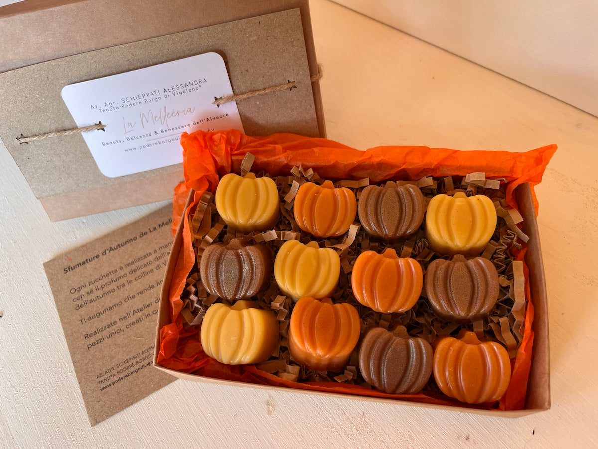 CERA D'API - Wax Melts Zucche Sfumature d'autunno