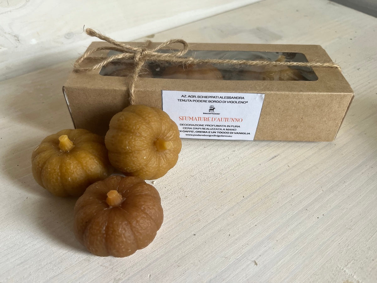 CERA D'API - Sfumature d'autunno